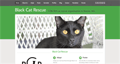 Desktop Screenshot of blackcatrescue.com