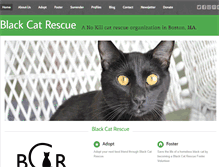 Tablet Screenshot of blackcatrescue.com